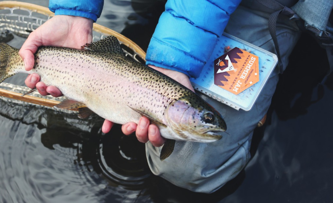 catching fish